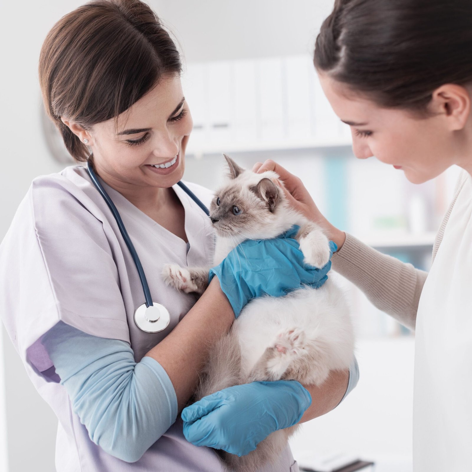 Veterinarian