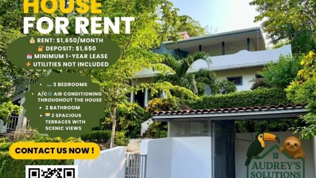 Long Term Rental